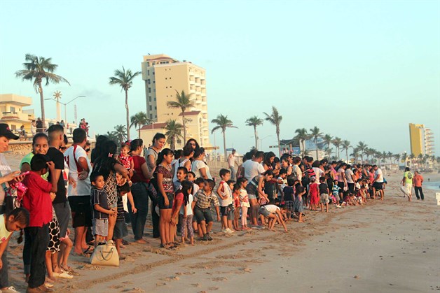 Niños de preescolar liberan crías de tortuga golfina en Mazatlán Luz