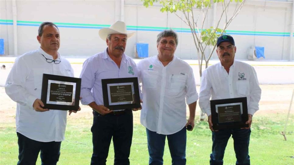 Productores Celebran D A De La Sanidad Vegetal Luz Noticias