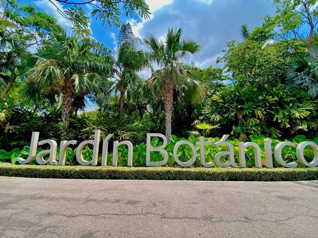 Conoce el Jardín Botánico de Culiacán Luz Noticias