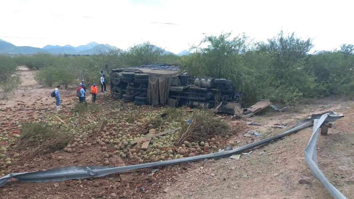 Vuelca torton cargado con 17 toneladas de sandía en Ahome Luz Noticias