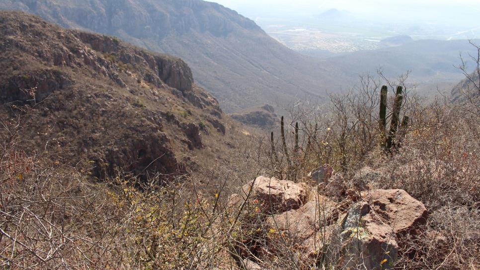 Incrementa caza furtiva en la sierra de Sinaloa