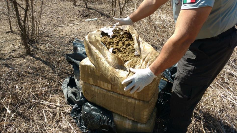 PGR asegura más de 65kg de mariguana en Guamúchil