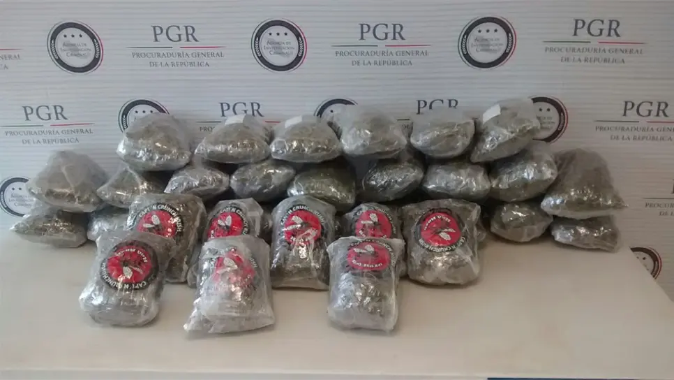 Asegura PGR mariguana en paquetería en Culiacán