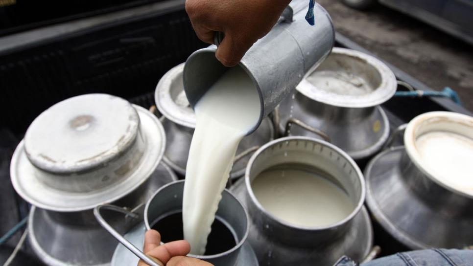 SSA advierte riesgos por lácteos no pasteurizados