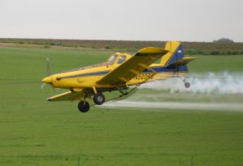 Proponen analizar el uso de avionetas para rociar plaguicidas