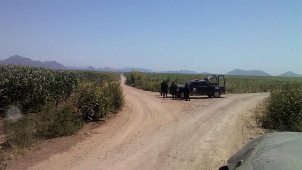 Hallan a 3 sonorenses muertos en Mocorito