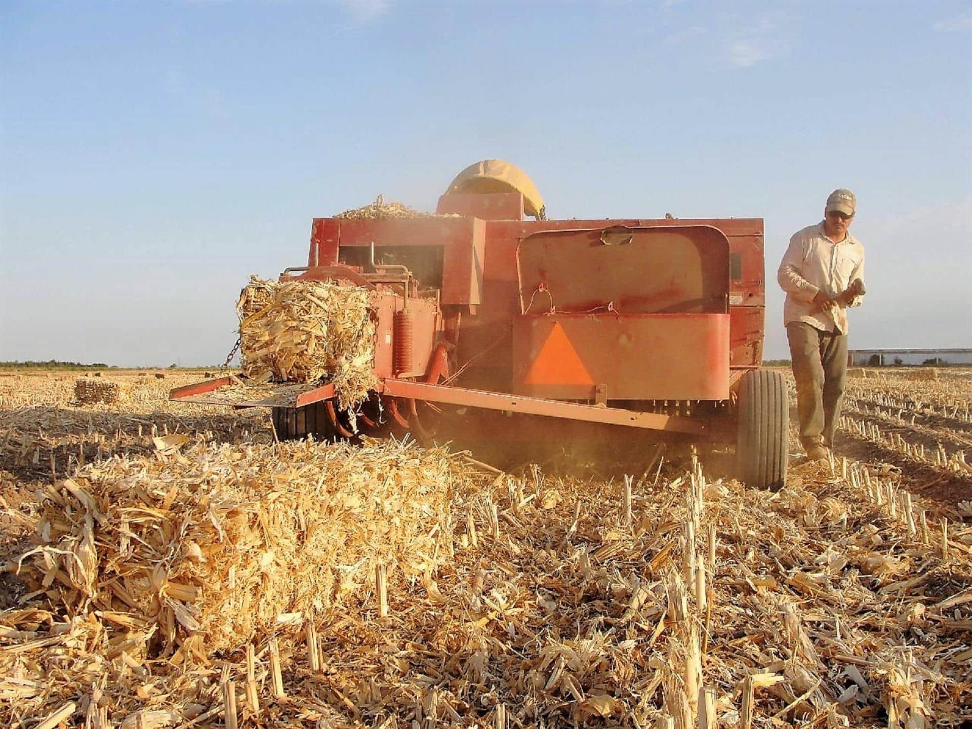 “Que sea en serio el castigo a la quema de soca”: Irazoqui