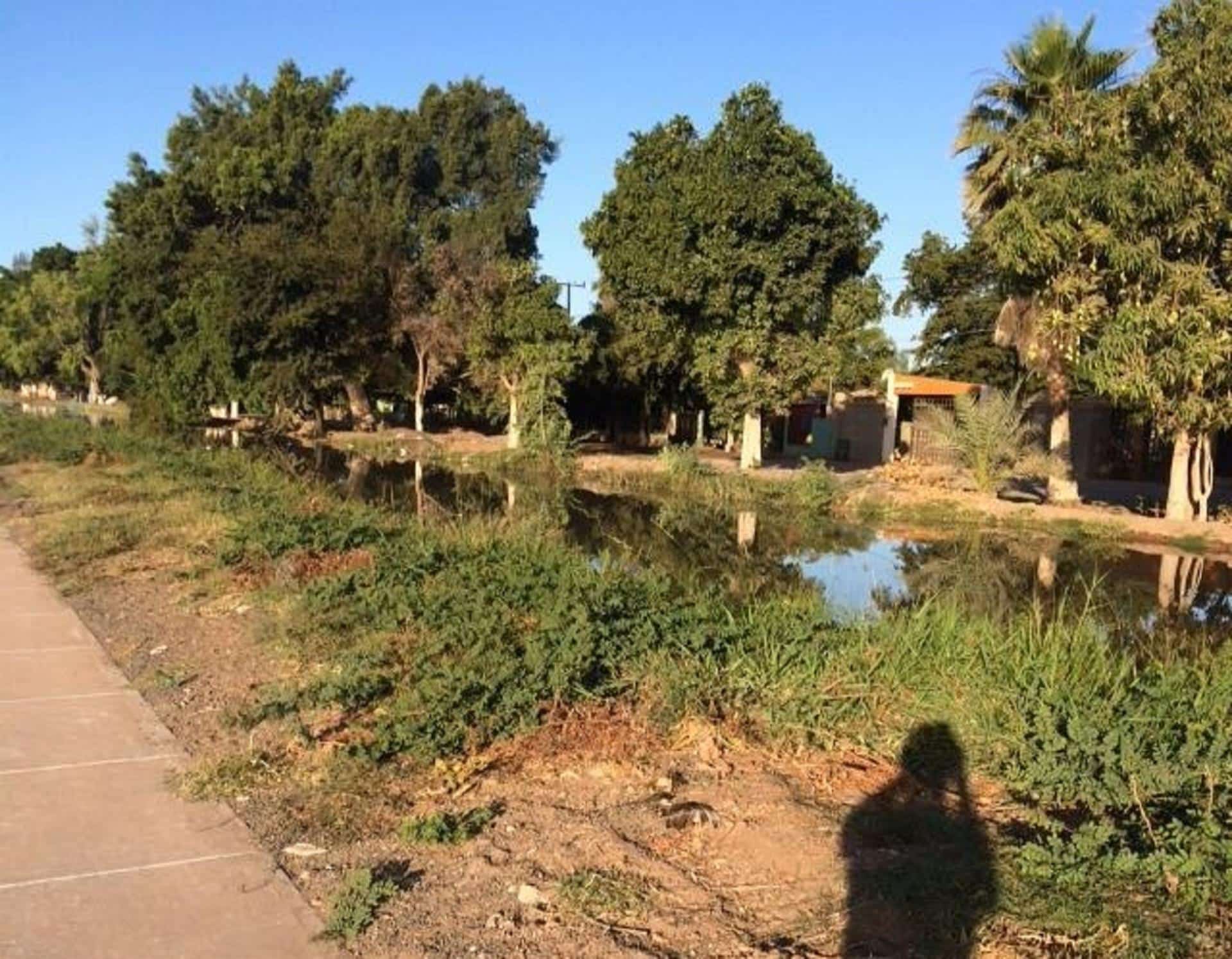 Se desborda canal del ejido 9 de Diciembre