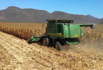 Incrementan tarifas en trillas agrícolas en Sinaloa