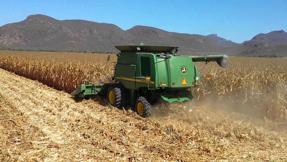 Incrementan tarifas en trillas agrícolas en Sinaloa