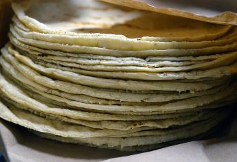 Incrementará el precio de la tortilla