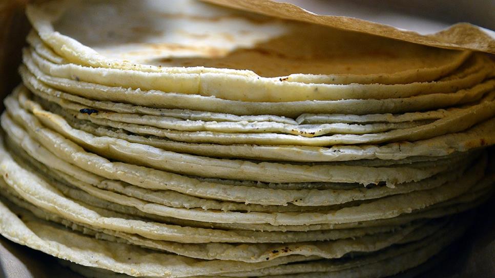 Incrementará el precio de la tortilla