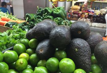 El aguacate “por las nubes”: sigue al alza
