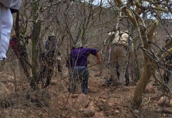 Rastreadoras buscan cuerpos en cerros de Barobampo