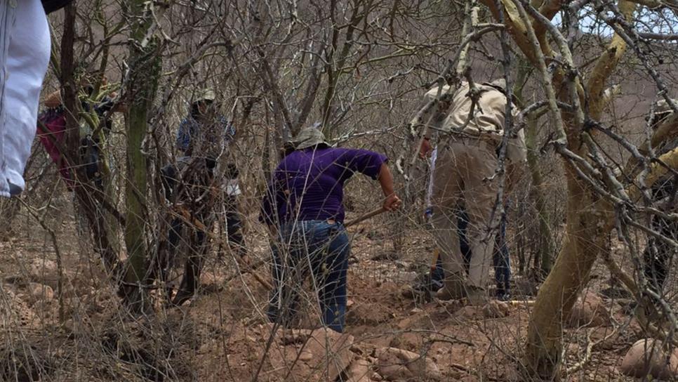 Rastreadoras buscan cuerpos en cerros de Barobampo