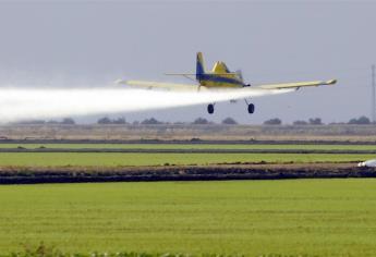 Se reunirán con pilotos para evitar fumigaciones en zonas pobladas