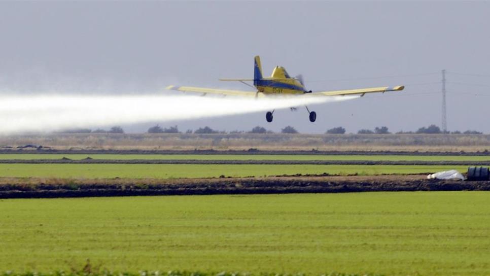 Se reunirán con pilotos para evitar fumigaciones en zonas pobladas