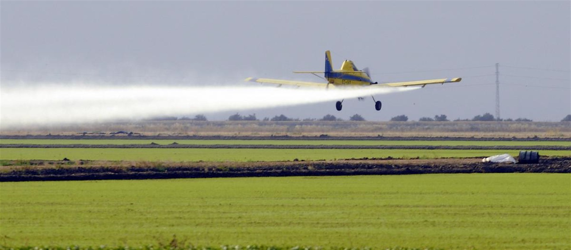 Se reunirán con pilotos para evitar fumigaciones en zonas pobladas