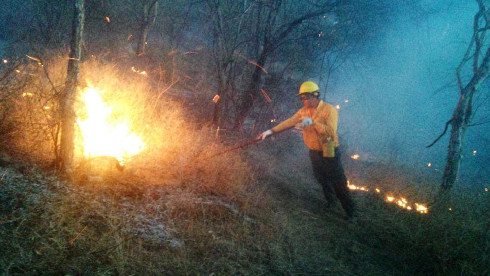 Incendios consumen más de mil 500 hectáreas arbustivas