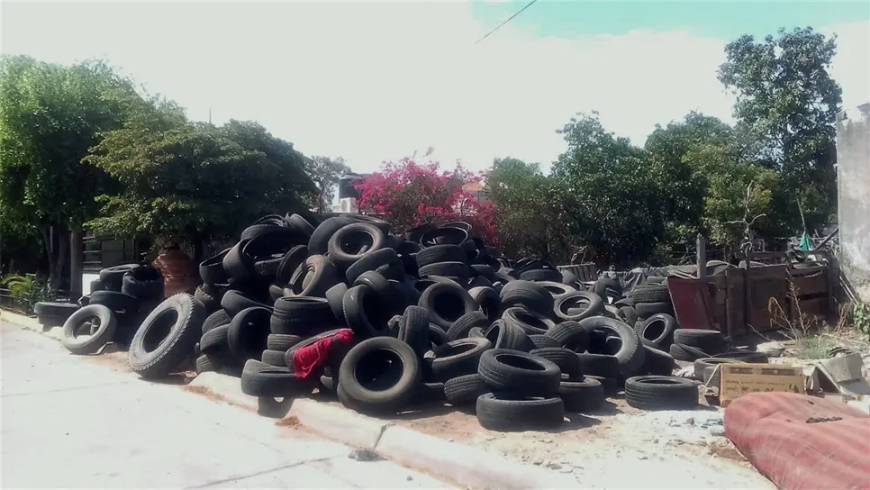 Llantas acumuladas causan enfermedades en la colonia Estrella