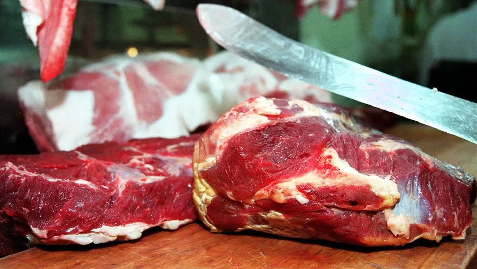 Piden vigilar calidad de lácteos y carnes para prevenir la brucelosis
