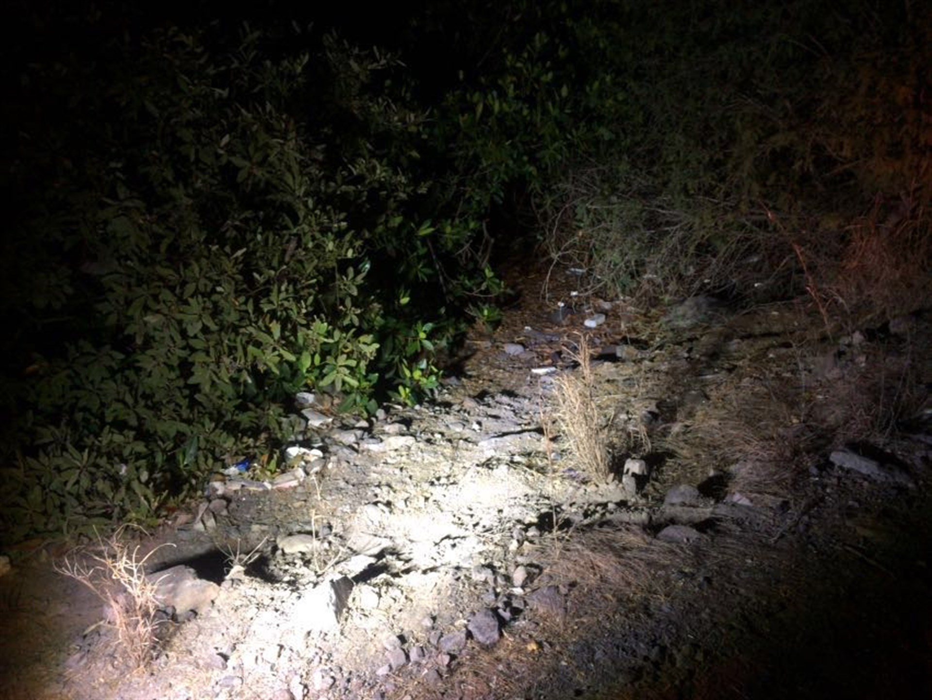 Localizan pierna humana en manglares de Topolobampo