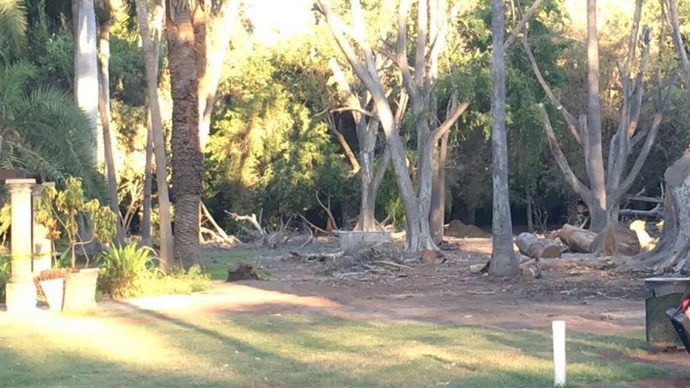 Corredores esparcen hongo en el Parque Sinaloa