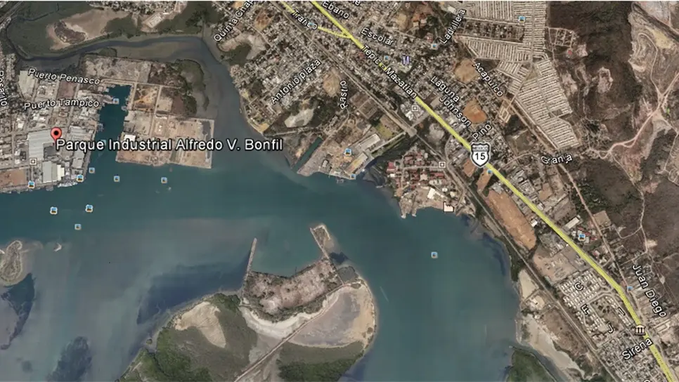 Evidencia Profepa daño al mangle en el Parque Bonfil