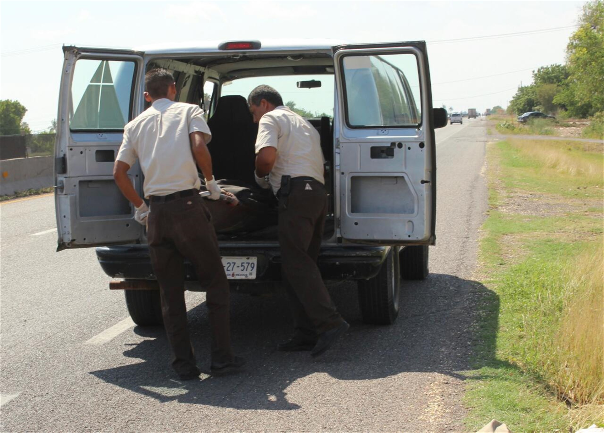 Matan abejas a dos hombres en Guasave