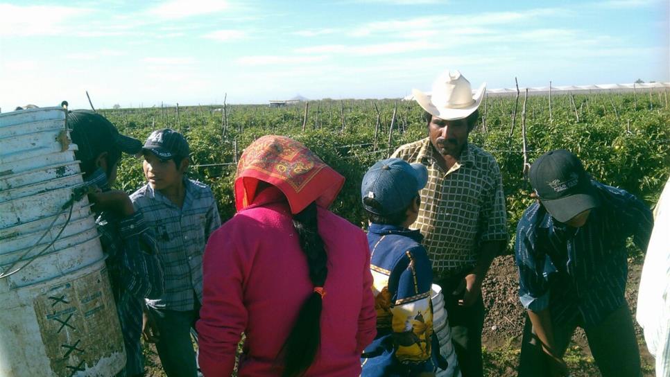 Retienen a 50 indígenas en un rancho de Vizcaíno, BCS