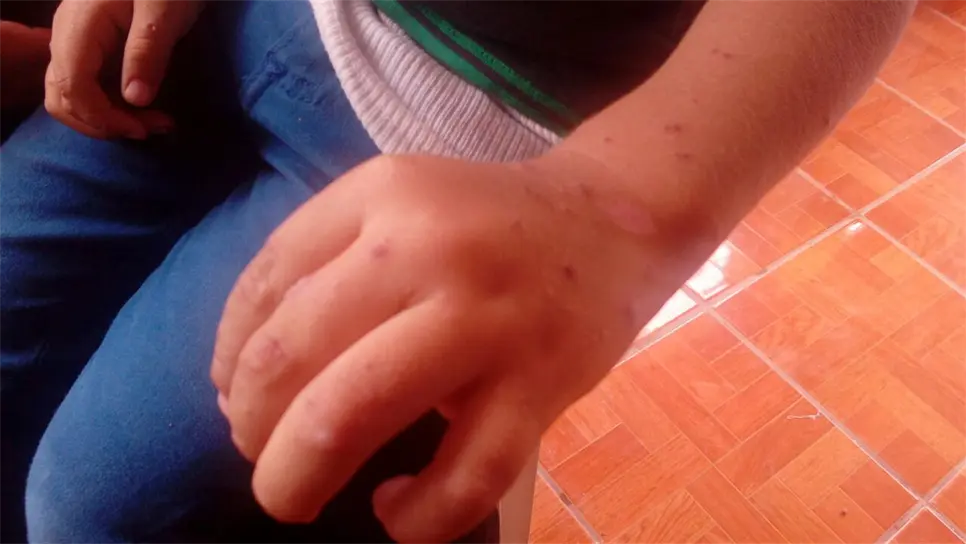 Enfermos y sin dinero llegan indígenas explotados en BCS