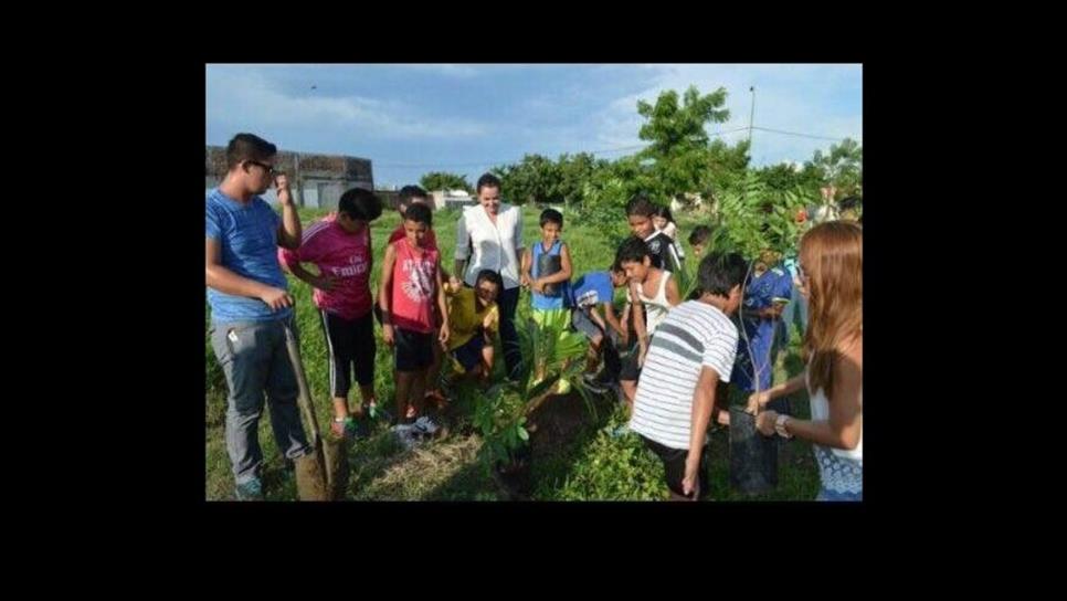 Encabeza Villaescusa campaña de reforestación en Mazatlán