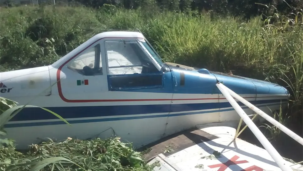 La avioneta quedó sobre la maleza.