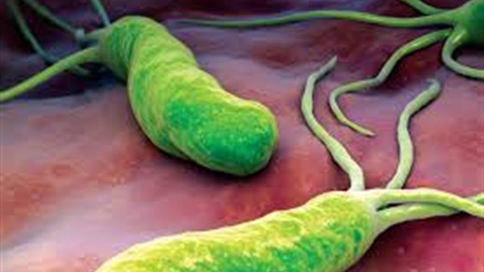 Entre 50 y 70% de mexicanos padece Helicobacter Pylori