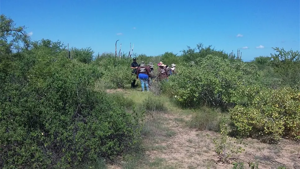 Las Rastreadoras en su búsqueda en Tosalibampo.