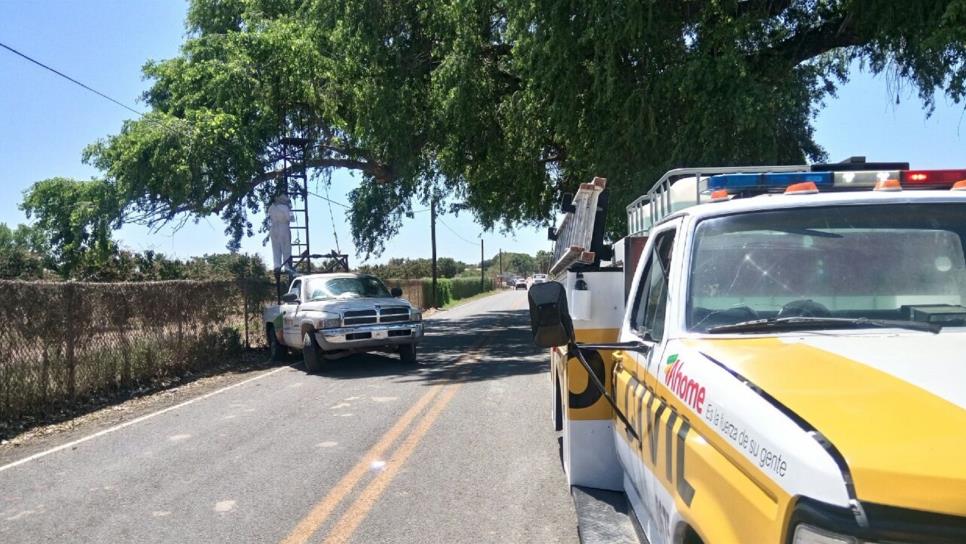 Atacan abejas a leñador en El Burrión