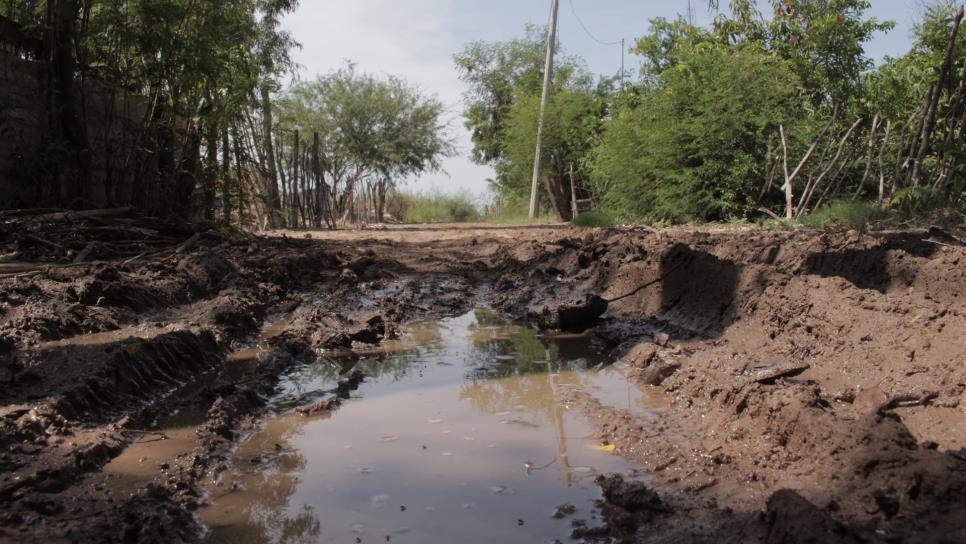 Ya no aguantan los moscos ni jejenes en el Estero de JJR