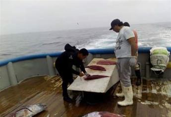 Identifican a pescadores fallecidos al naufragar en BCS