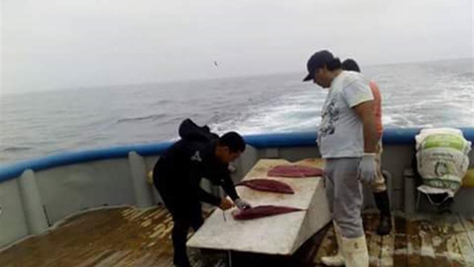 Identifican a pescadores fallecidos al naufragar en BCS