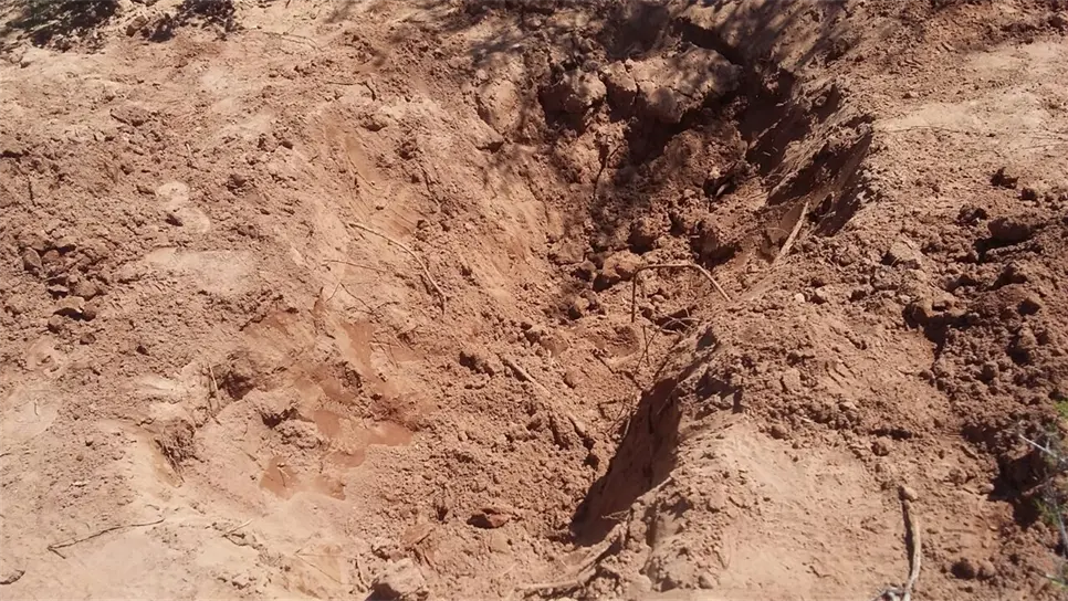 El grupo de mujeres Rastreadoras en la búsqueda que se realiza en Tosalibampo.