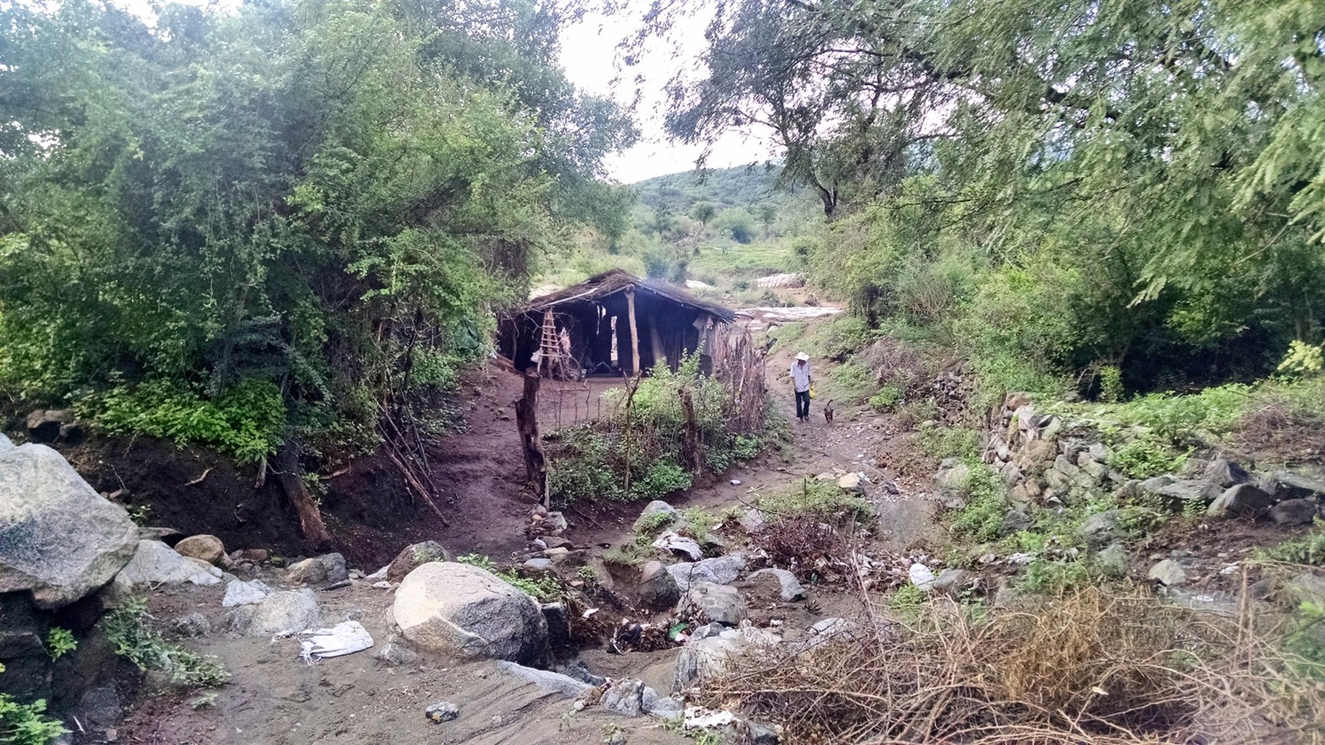 Urgen programas de vivienda en Chinobampo, El Fuerte: Síndico
