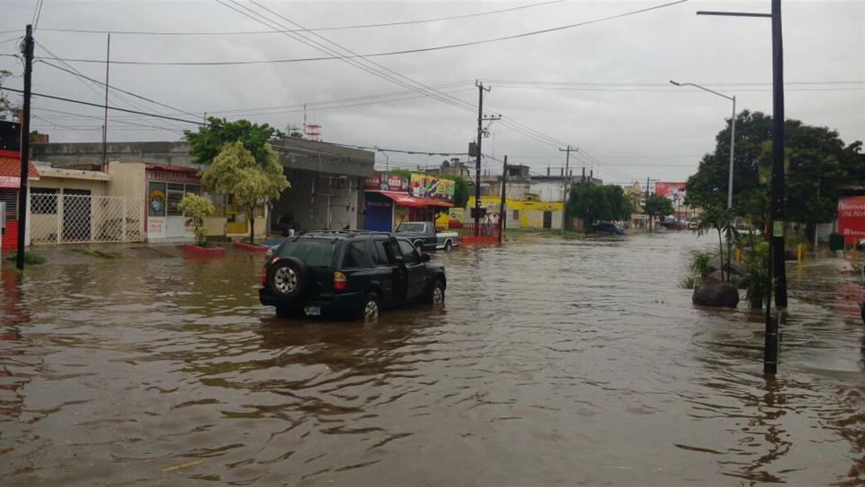 Lluvias de Newton dañaron 40 camiones en Los Mochis