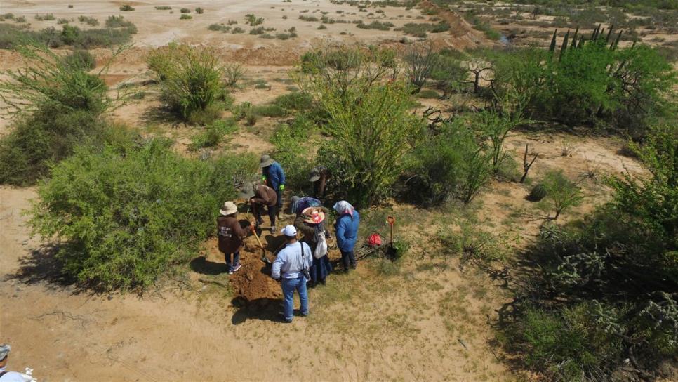 Busca a tres familiares que fueron levantados