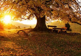 Hoy inicia el otoño