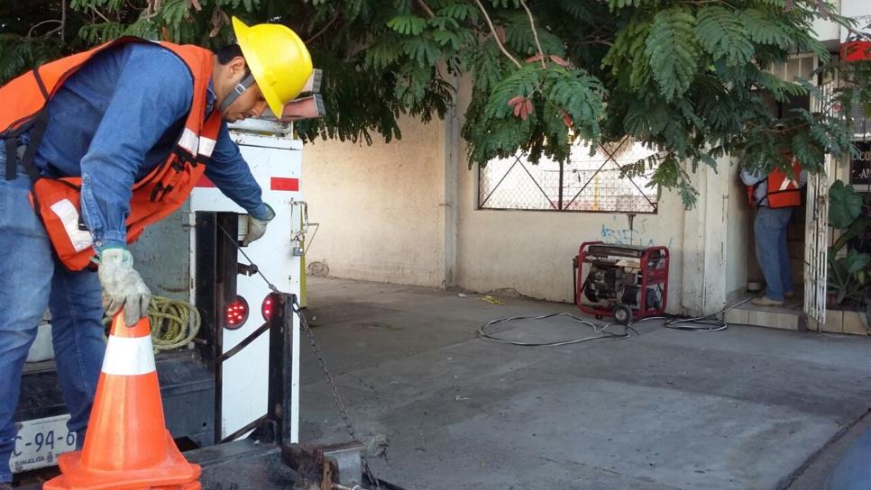 Caída de palma deja sin luz a un sector de Los Mochis