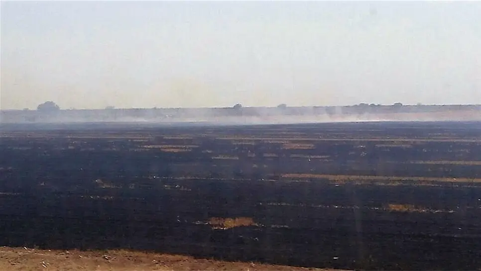 La quema de soca ya es castigada pero continua registrándose. FOTO: Archivo Luz Noticias.