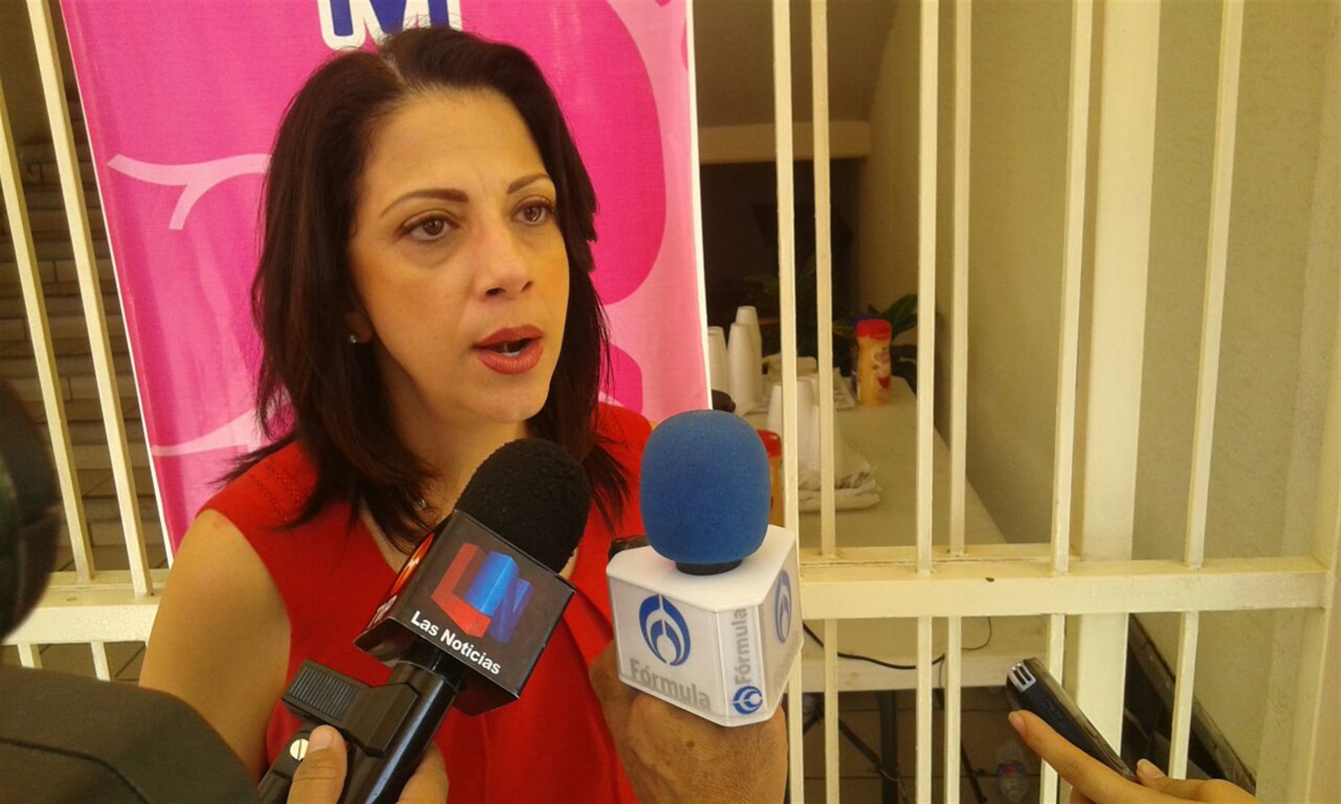 Rosy Lizárraga Félix, presidenta de la Ceaips. FOTO: Óscar Rodríguez.