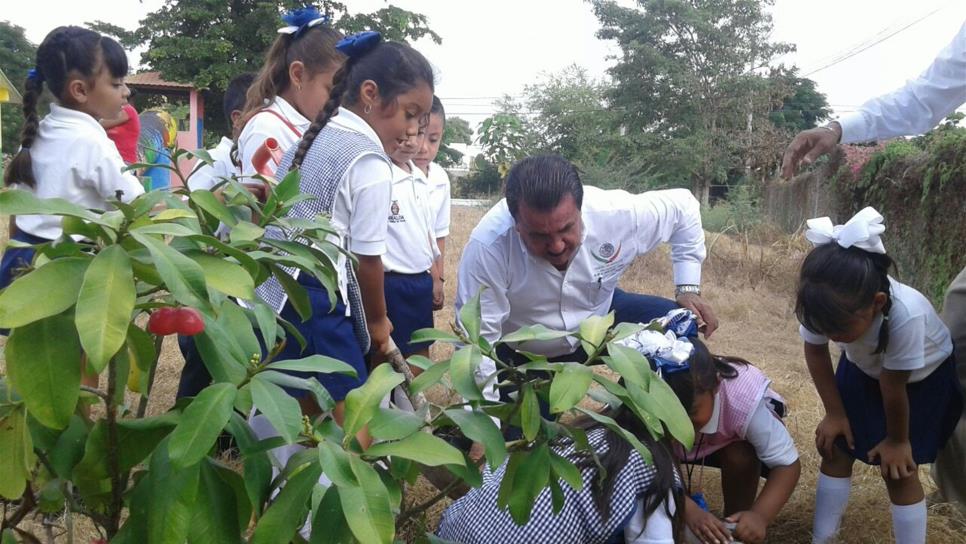 Reforestan preescolar Ángela Peralta en Mazatlán