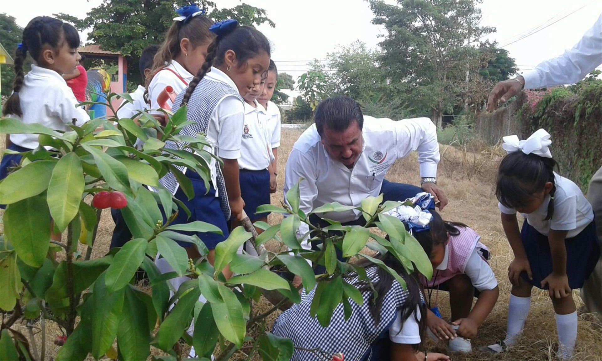 El diputado federal plantó algunos árboles acompañado de alumnos de preescolar. FOTO: Óscar Rodríguez.