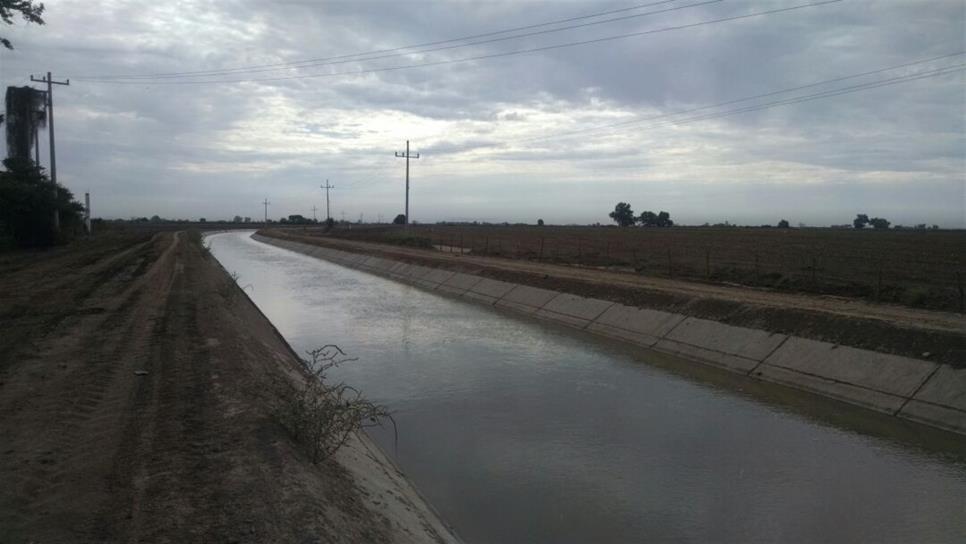 Acusa Conagua mala planeación de riego de módulos en el distrito 075